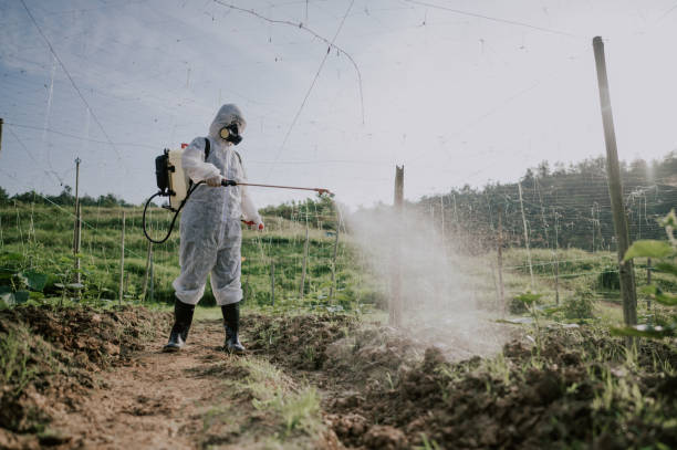 Best Pest Removal Services  in Cottleville, MO