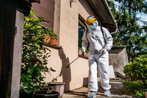 Flea Control Services in Cottleville, MO
