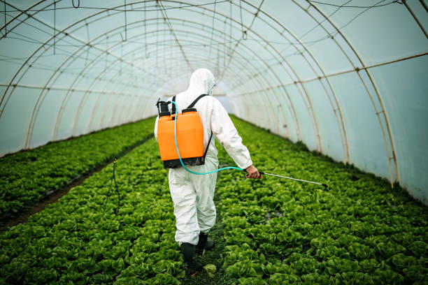 Best Best Pest Control Companies  in Cottleville, MO