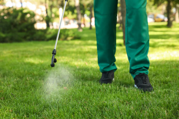 Best Pest Removal Services  in Cottleville, MO