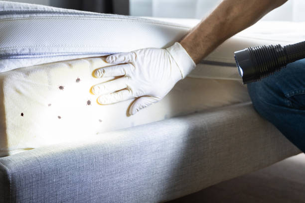 Best Commercial Pest Control Services  in Cottleville, MO