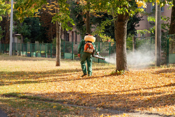 Professional Pest Control in Cottleville, MO
