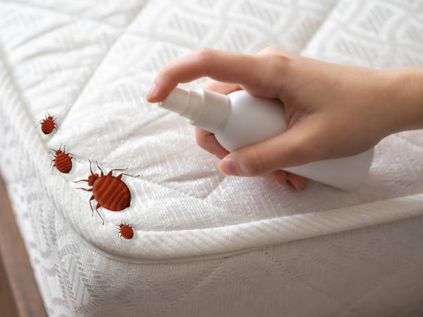 Best Pest Prevention Services  in Cottleville, MO