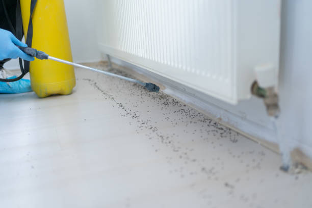 Pest Control for Restaurants in Cottleville, MO