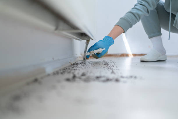 Best Pest Control Treatment  in Cottleville, MO