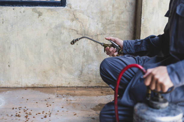 Best Pest Control Near Me  in Cottleville, MO