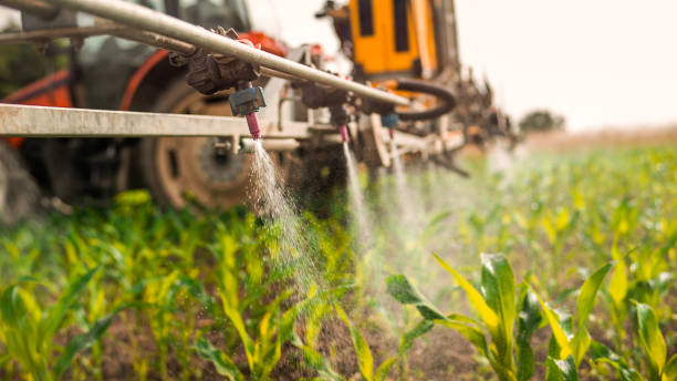 Best Pest Control for Homes  in Cottleville, MO